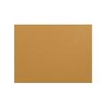 Fabrication Enterprises 18 x 24 x 0.12 in. Orfit Metallic Non Perforated Colors Non-Stick, Gold, 4PK 24-5780-4